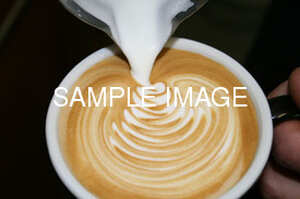 Indoor Synthetic Ice Rink With Caf© & Games Area